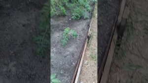 Небо продрявилось над Уралом☔⚡🌧️