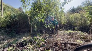 РАЗБОР ЗАБРОШЕННОГО УЧАСТКА. часть 3