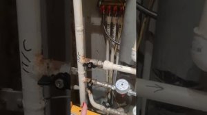 Как включить водонагревательный бойлер Electrolux, если в квартире отключили горячую воду.