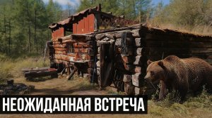 15 ДНЕЙ АЛТАЯ: МЕДВЕДИ, ПЕРЕВАЛЫ, РЫБАЛКА И ГОРНЫЕ ОЗЕРА