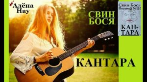 Свин Бося . Кантара 1...