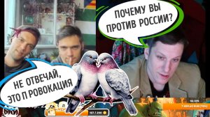 Голуби пытались заклевать Орка,но обломали клювы