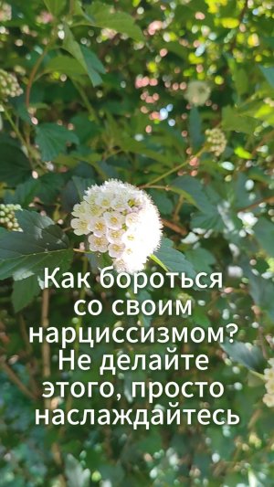 Как бороться со своим нарциссизмом? Не делайте этого, просто наслаждайтесь