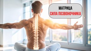 Матрица «Сила Позвоночника» — оригинал 2026! Если болит спина, поясница, шея
