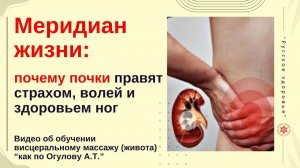 Меридиан жизни: почему почки правят страхом, волей и здоровьем ног. Видео об обучении