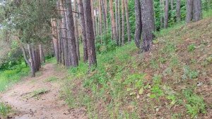 Посетила монастыри