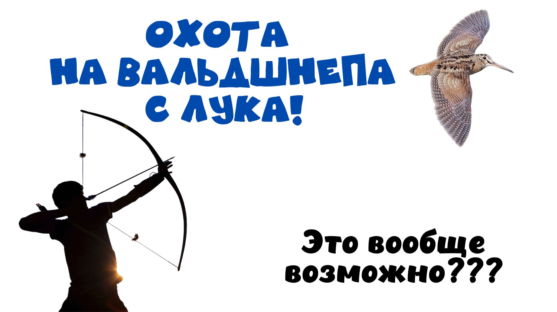 Охота на вальдшнепа с лука! Шустрый малый, это не так просто! Весенняя охота. Охота на тяге!