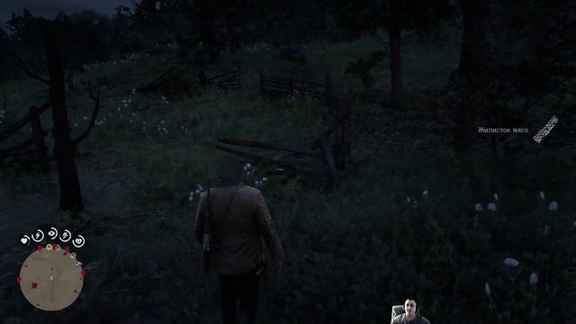 Red Dead Redemption 2 палатка ловушка и клад в дымоходе #reddeadredemption2 #rdr2