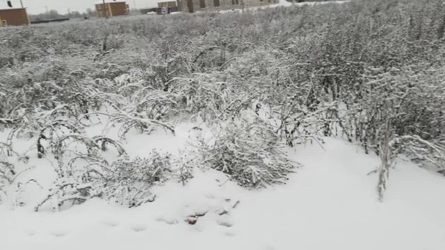 5823442 смотреть онлайн