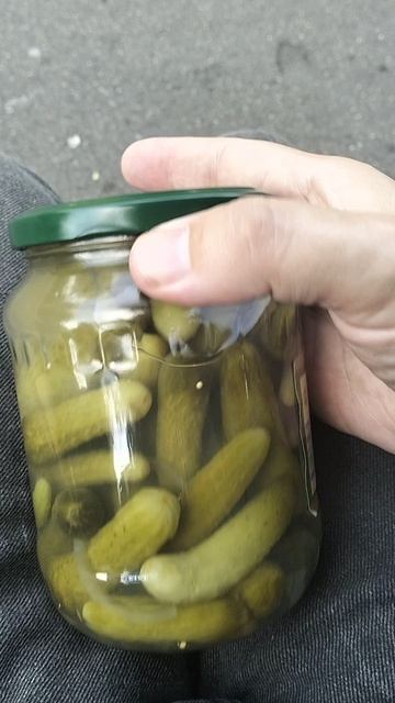 Карнюшоны на лавке странная находка