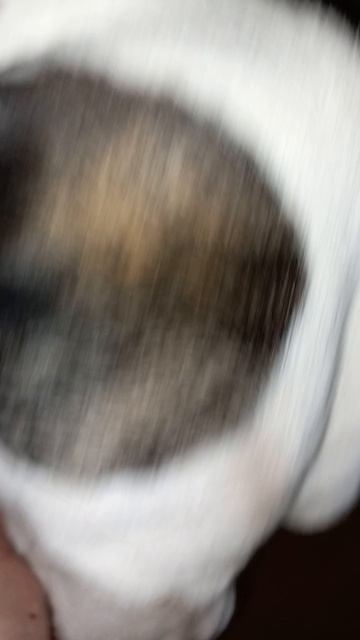 rutube.ru