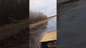 аэролодка Манёвр от производителя
