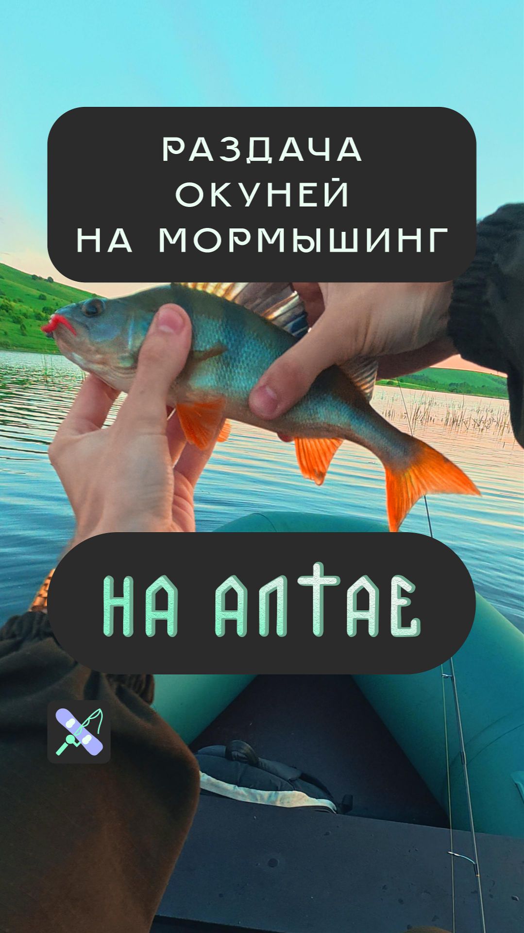 Попал на мормышинговую раздачу окуней на Алтае