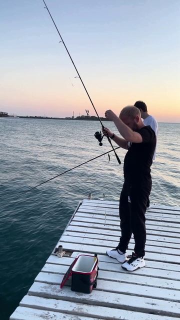 Большой Утриш, Чёрное море, ловля ставриды на самодур, сабики