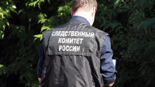 В Новосибирске пенсионеры задушили 49-летнего сына из-за его аморального поведения. Пара из Дзержин смотреть онлайн