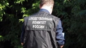 В Новосибирске пенсионеры задушили 49-летнего сына из-за его аморального поведения.

Пара из Дзержин