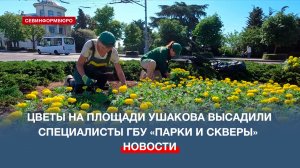 Специалисты ГБУ «Парки и скверы» высадили цветы на площади Ушакова