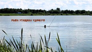 ХЕРАБУНА! ПОКЛЕВКИ КАРАСЯ КРУПНЫМ ПЛАНОМ!РЫБА УТАЩИЛА УДОЧКУ!