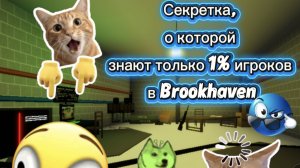 💯💎секретка, о которой знают только 1%  игроков в Brookhaven 🫢