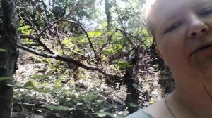 VID_20250712_130653.mp4