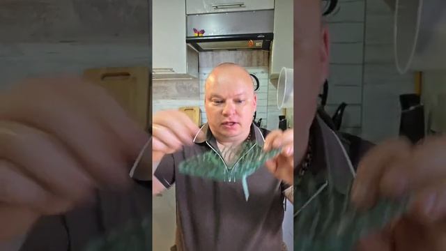 Дневной эфир от 9.06.26 смотреть онлайн