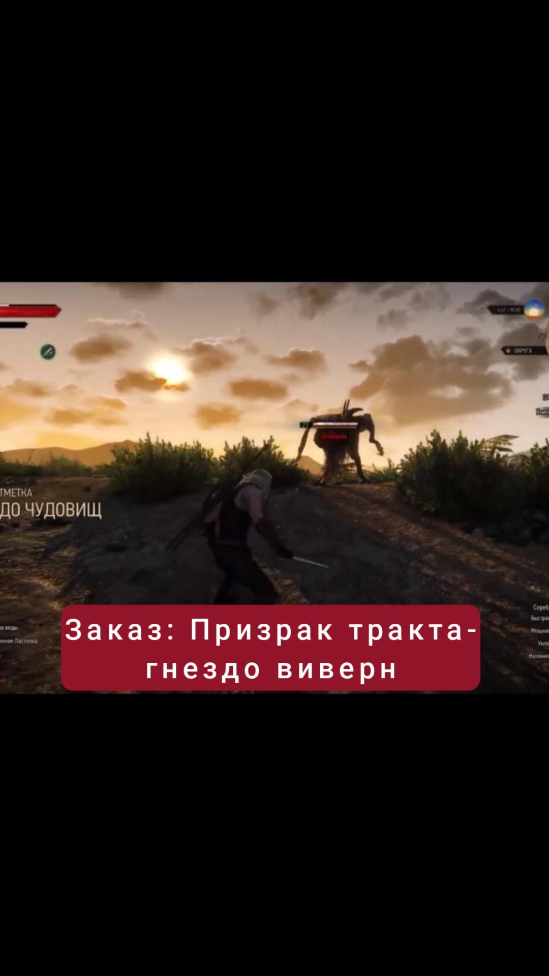 Заказ: Призрак тракта- гнездо виверн | #witcher3 #games #rpg