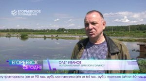 Новый выпуск программы “Егорьевск сегодня” от 08.06.26