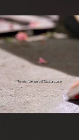 краткий пересказ фильма
