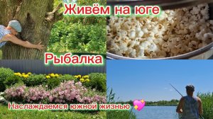 09-06-2026/Краснодарский край/Из Сибири на юг/Мечты сбываются/Рыбалка/Релакс/Наслаждаемся югом//
