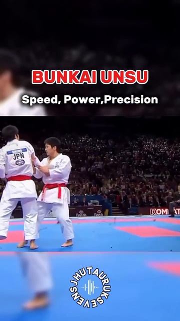 бункай Унсу ката bunkai Unsu kata