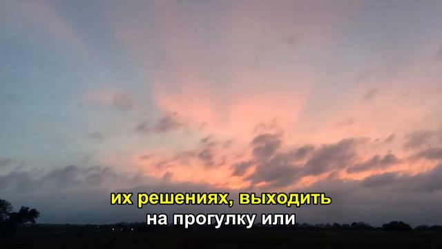 Украинские беженцы в Германии пособия, халява и вопрос где немцыкак бесплатно брать вещи в Германии смотреть онлайн