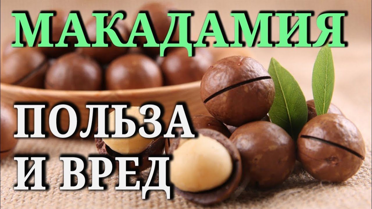МАКАДАМИЯ. Состав, свойства, польза и вред смотреть онлайн