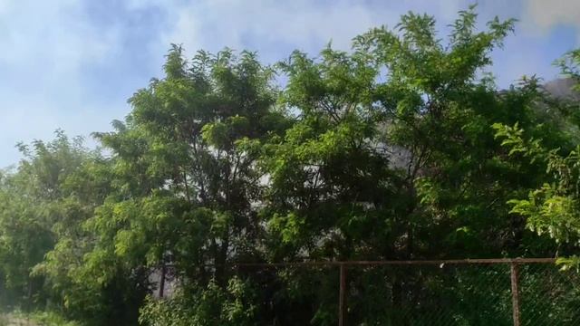 Тление щепы в подмосковных Мытищах смотреть онлайн