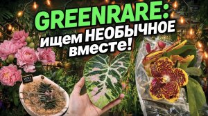 GREENRARE: САМЫЙ ПОДРОБНЫЙ Обзор Ярмарки РЕДКИХ Растений! ЧТО ТАМ?
