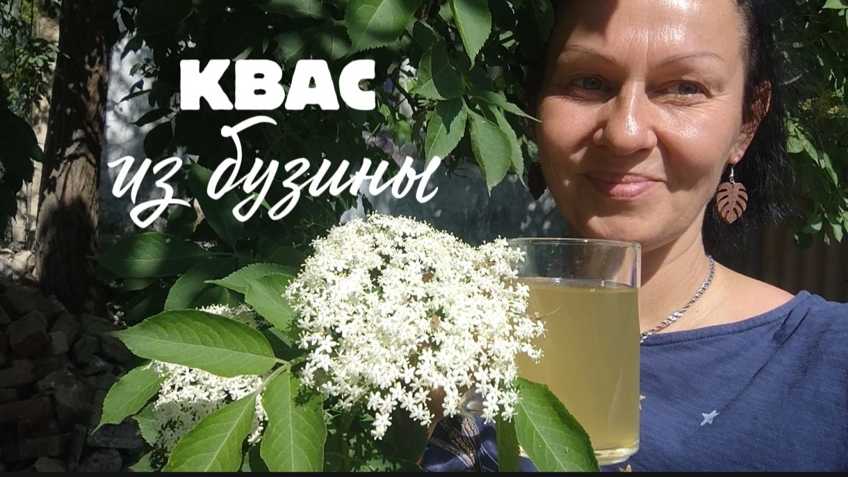 Домашний полезный квас из бузины