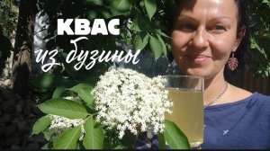 Домашний полезный квас из бузины