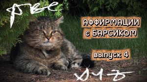 Аффирмации на раскрытие потенциала и поиск своего дела в жизни, выпуск 4
