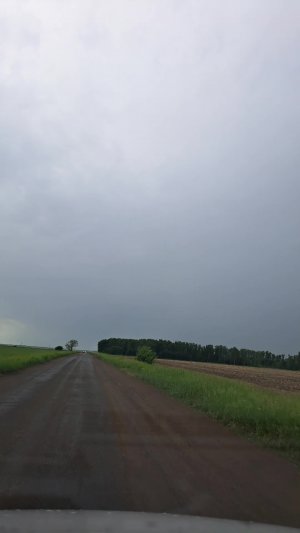 в Омск из Азовского района