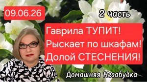 2 часть. Гаврила ТУПИТ❗️Рыскает по шкафам❗️Долой стеснение❗️