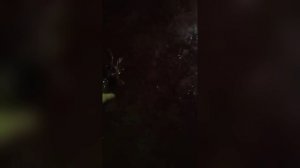 Работал кальмарный воблер 110 мм 17 гр Hunter от Mr.Musurok 🔥