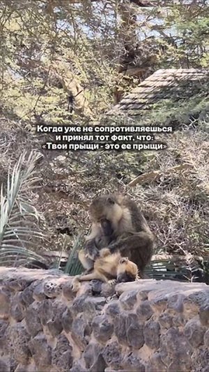 Сопротивление бесполезно