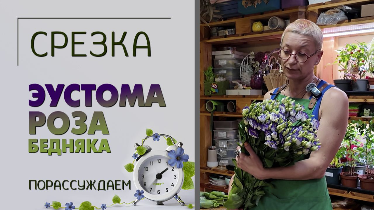 Эустома - роза бедняка. Ирландская, японская роза, техасский колокольчик, лизиантус. Порассуждаем.