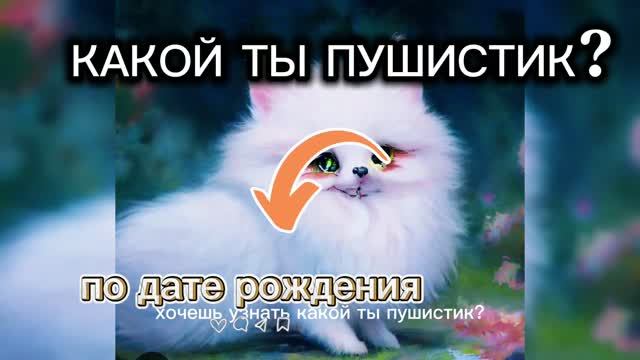КАКОЙ ТЫ ПУШИСТИК? 🐱🦊🐯🐕🐵🦝🐹🐰 смотреть онлайн