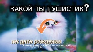 КАКОЙ ТЫ ПУШИСТИК? 🐱🦊🐯🐕🐵🦝🐹🐰