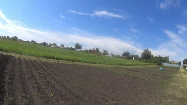 Работаем на огороде и в саду.