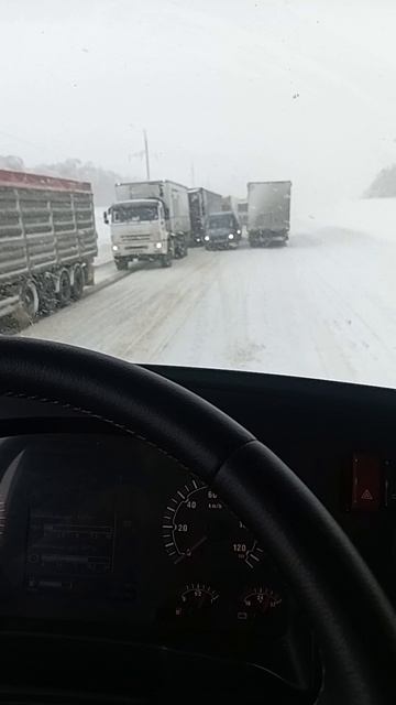 1000038983.mp4 смотреть онлайн