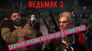 ВЕДЬМАК СКАЧЬКИ ЭРАЗМА ВЕГЕЛЬБУГ 2