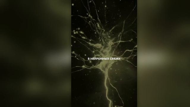 что такое дежавю 5 объяснений смотреть онлайн
