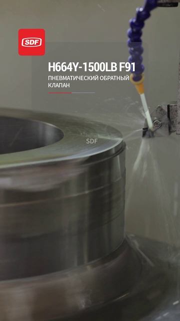 H664Y-1500LB F91 Пневматический обратный клапан-SDF