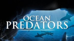 Хищники океанов | Ocean Predators 3D (2013)